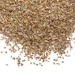 Dill Seed EO