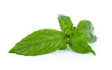 Basil Oil for Skin | Pure & Essential Oil |  ISLAS Aromatics