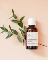 Nectarine Mint (BBW Type) FO